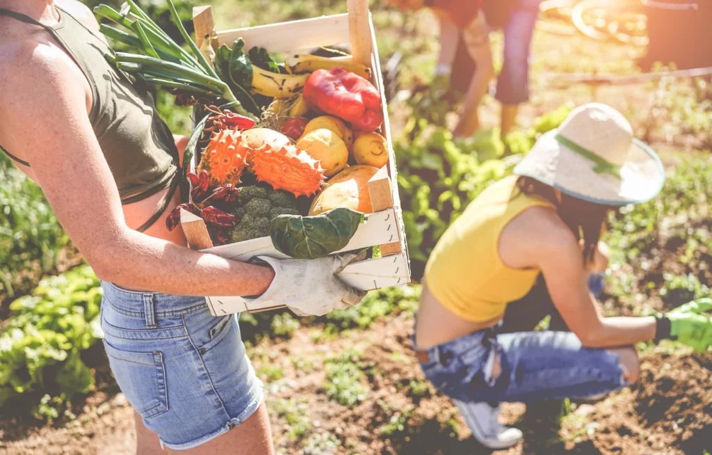 adobestock 201204276