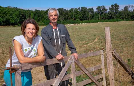 producteur bois piget